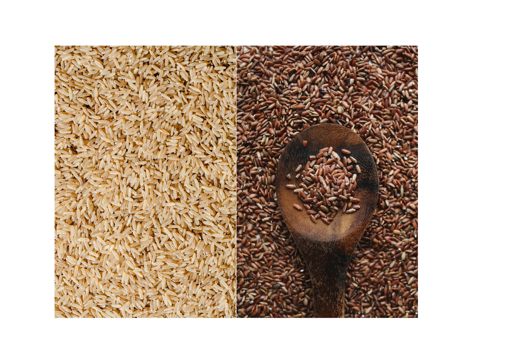 What Is Best For You - Brown Rice Or White Rice - Best Health Style